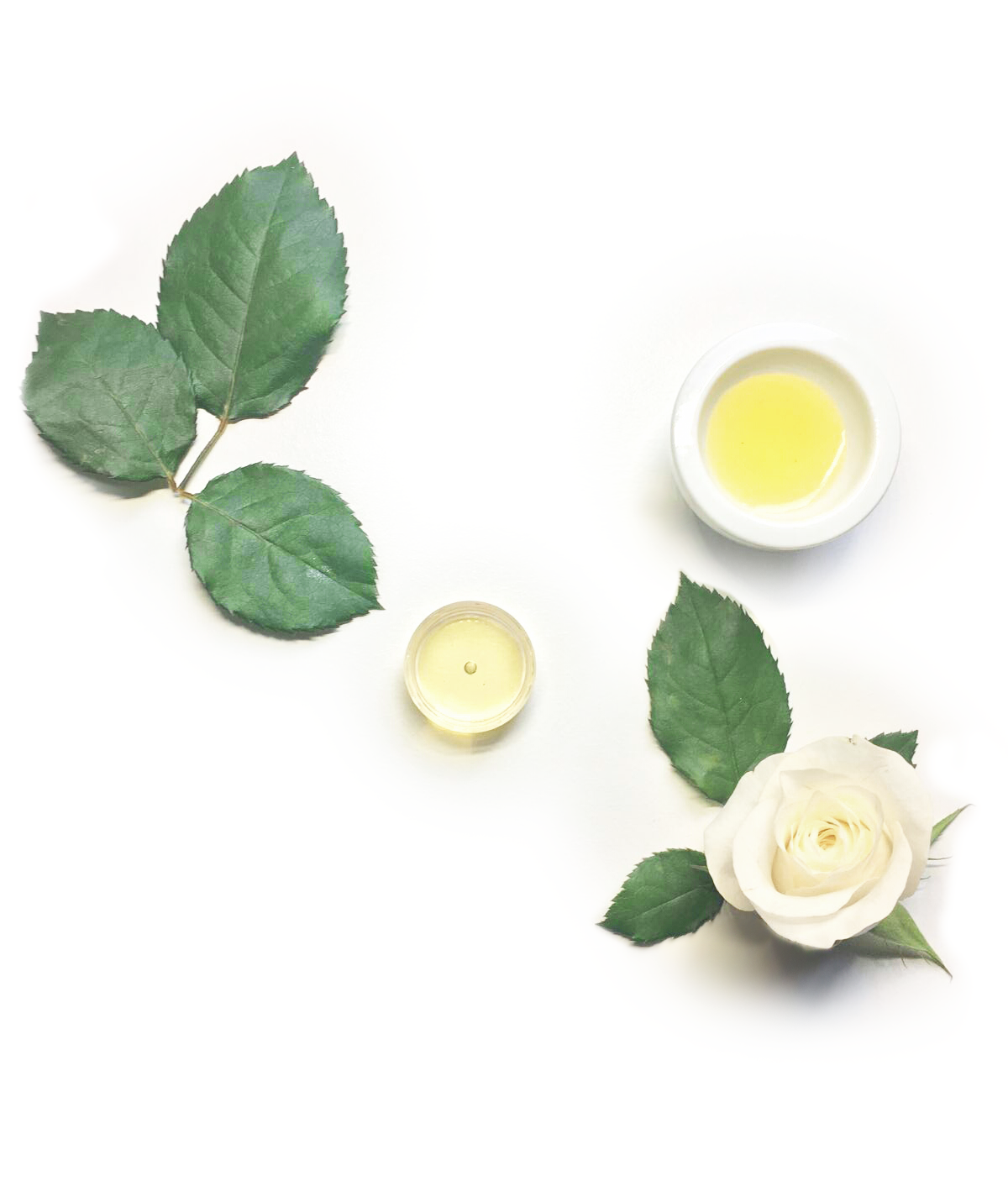 Organic Argan Rose Geranium Serum